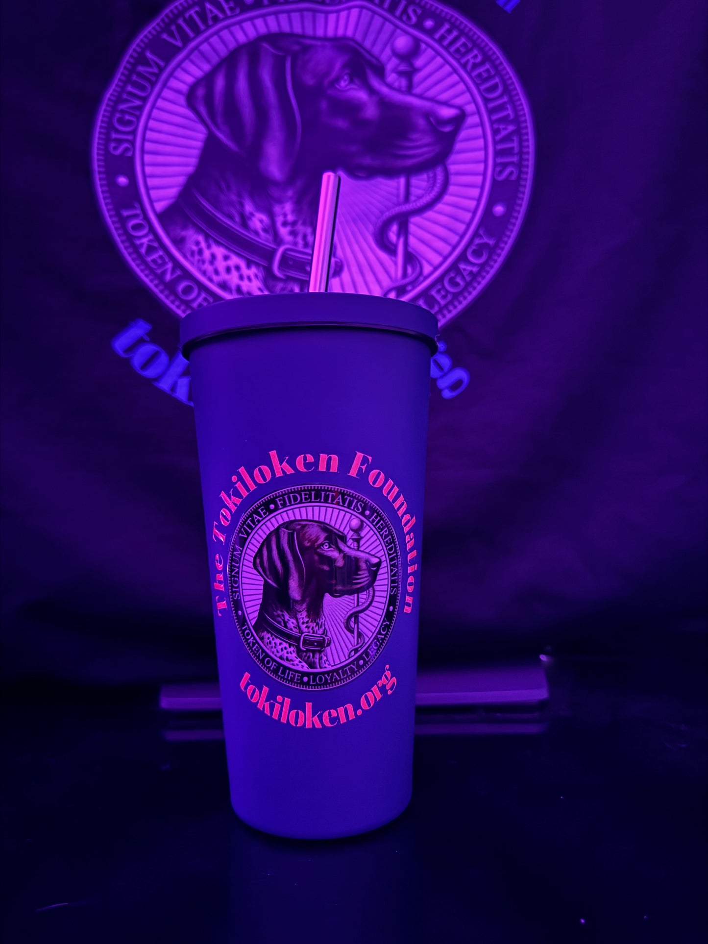Loki Tumbler Purpule
